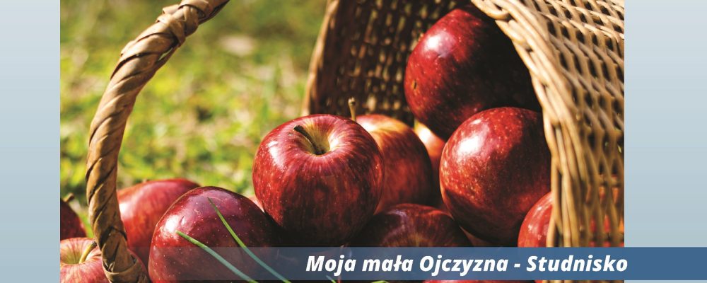 “NASZA GMINA” – dwumiesięcznik Nr 12 październik 2020