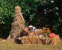 Dożynki Gminne 2016