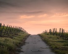 Harmonogram rozwożenia tłucznia