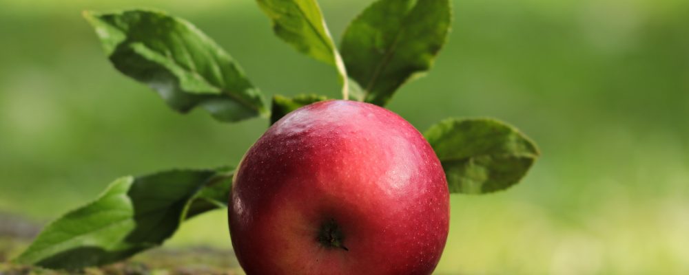 Najlepsze z najlepszych!