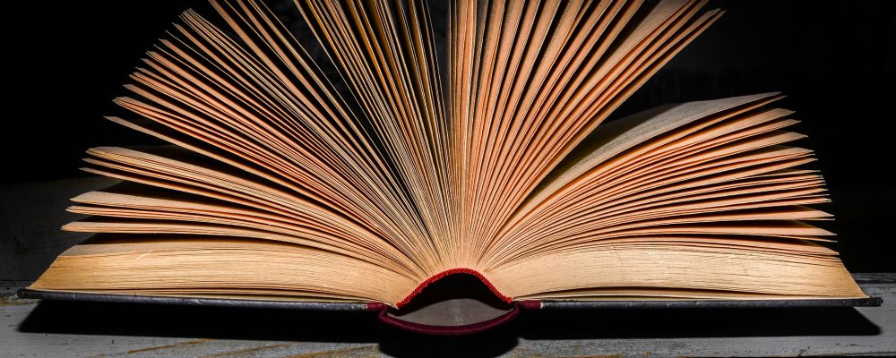 Narodowe Czytanie w Lublinie