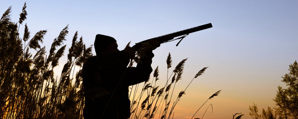 Informacja o planowanym polowaniu zbiorowym