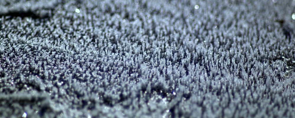 Odbiór protokołów z oszacowania strat spowodowanych wiosennymi przymrozkami i gradem