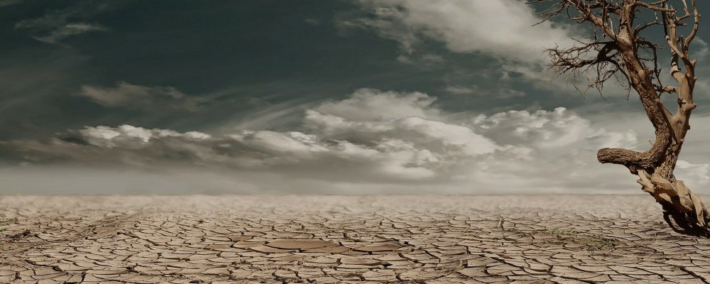 Długotrwała susza – oświadczenia