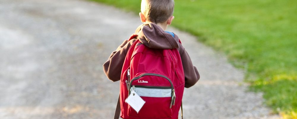 Stypendia – informacja