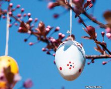 „WIEŚCI GMINNE” – kwartalnik Nr 2 marzec 2025