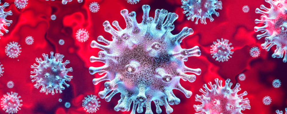 Komunikat PPIS w Opolu Lubelskim dot. NOVA STAR