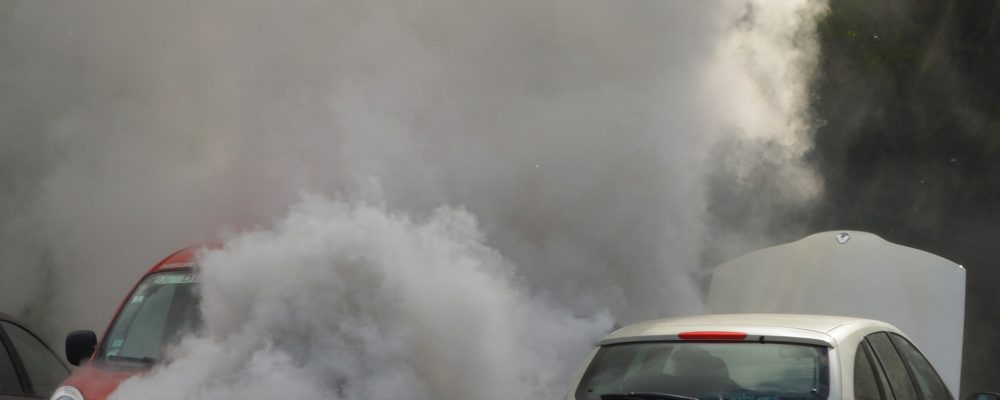 Zanieczyszczenie powietrza i ruch antyszczepionkowy wśród zagrożeń dla zdrowia