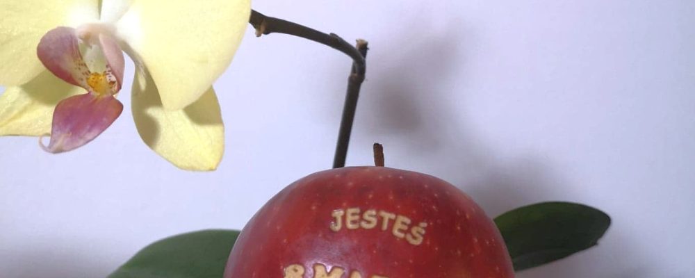 „Zacznij od Bacha…”