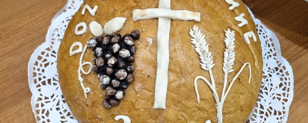 Relacja i zdjęcia z Dożynek Gminnych