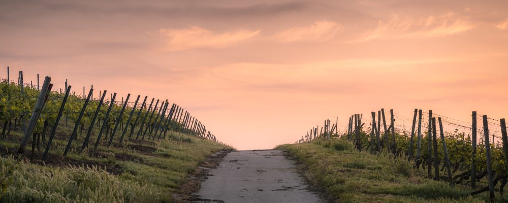 Harmonogram rozwożenia tłucznia