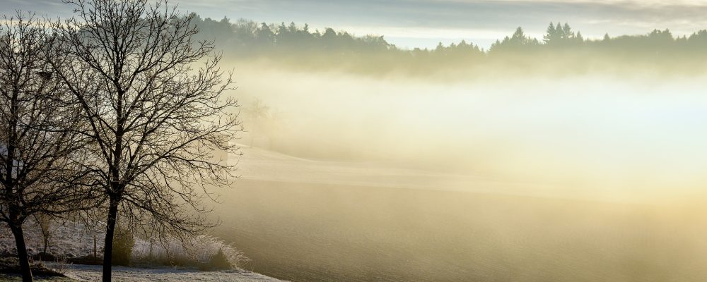 Ostrzeżenie o silnych mgłach z dnia 18.12.2020 r.